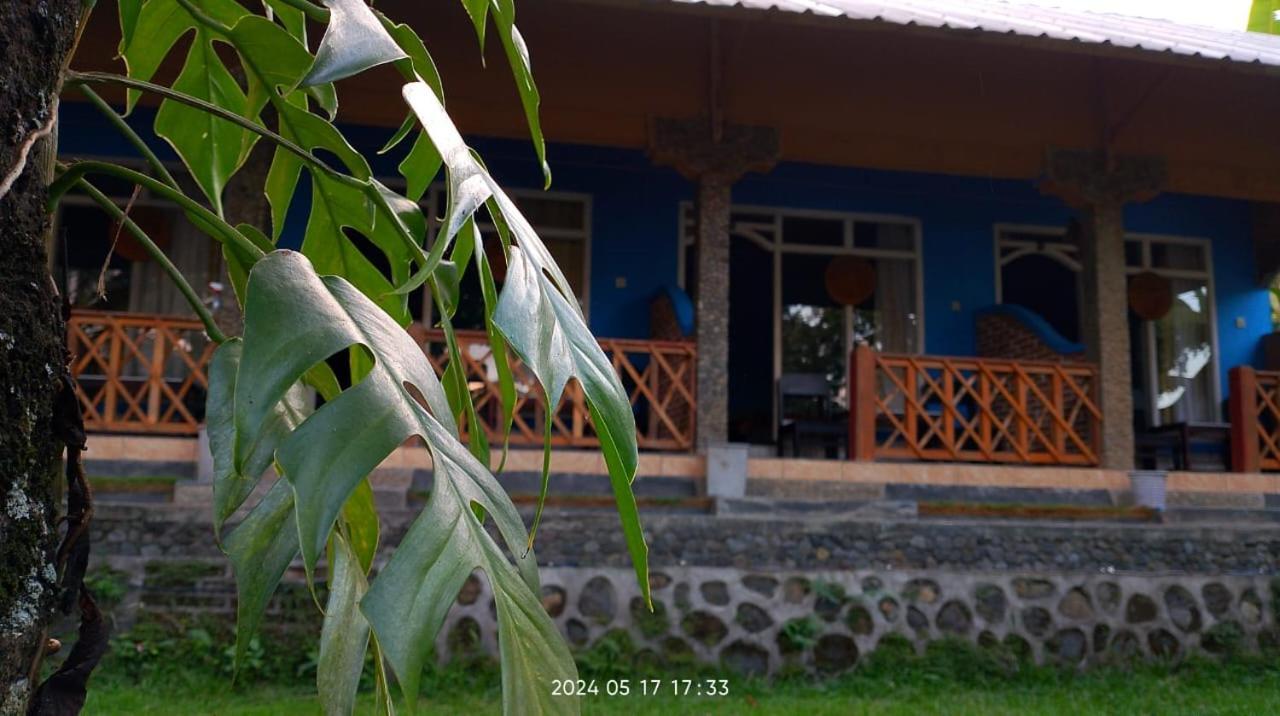Blue Mountain Cottage Senaru Extérieur photo