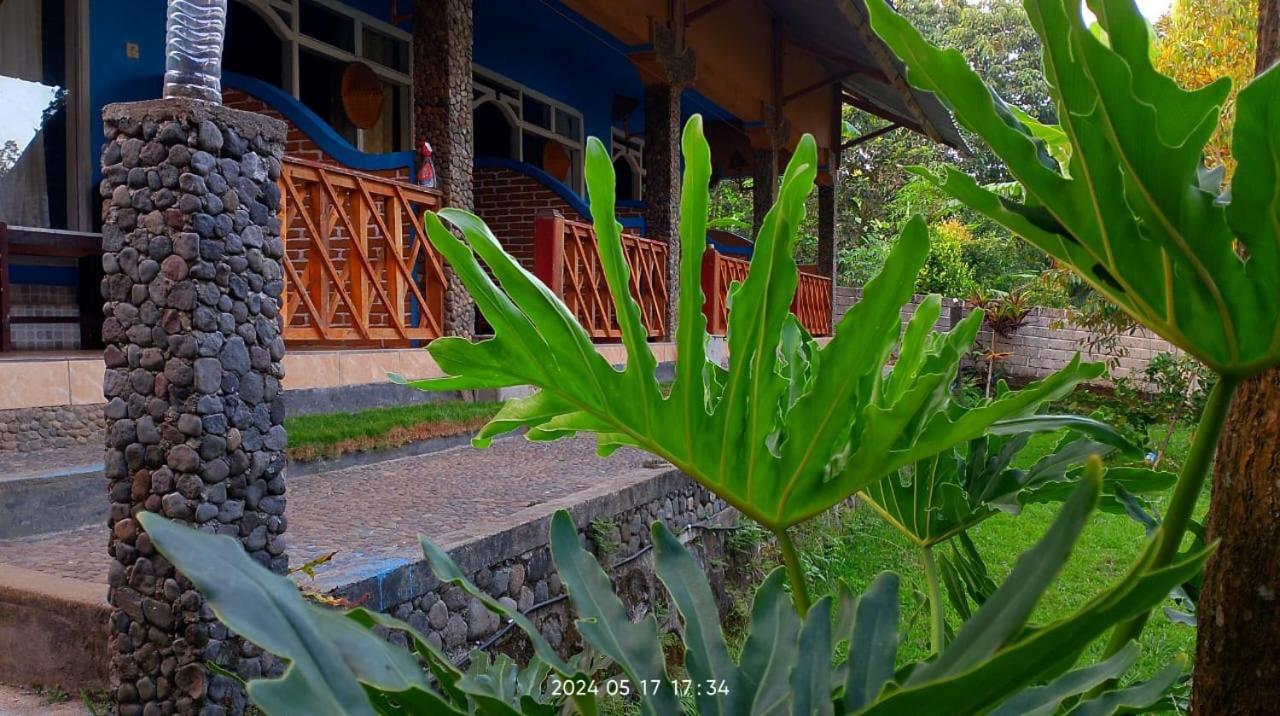 Blue Mountain Cottage Senaru Extérieur photo